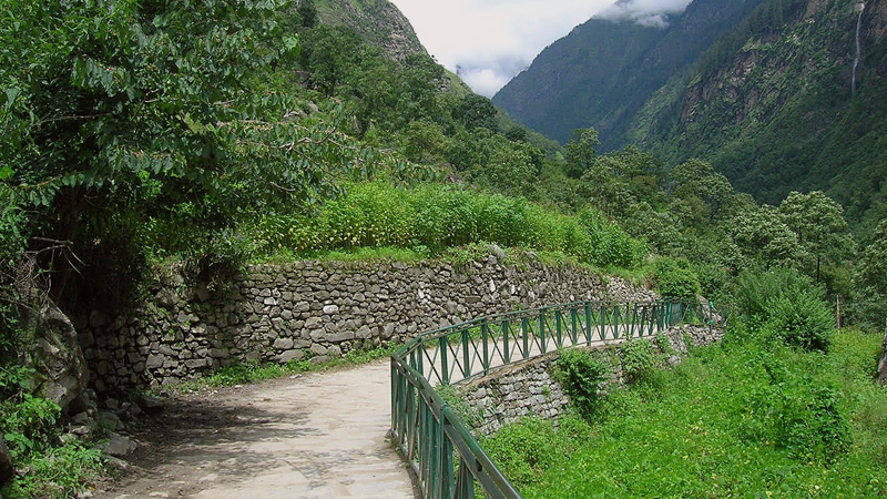 valley-of-flowers-park-trek