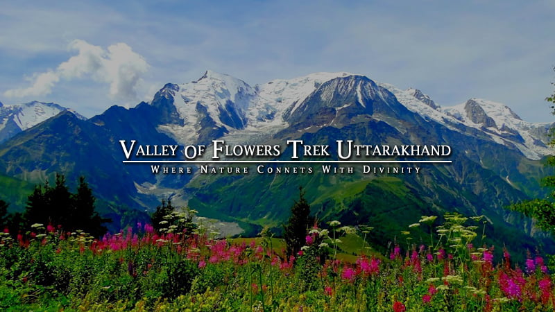 valley-of-flowers-trek-uttarakhand