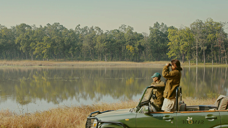 picture-taker's-point