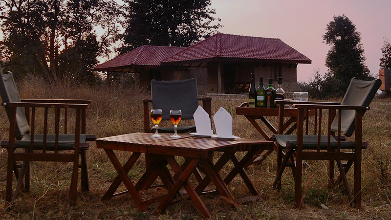 rulers-hold-up-in-bandhavgarh