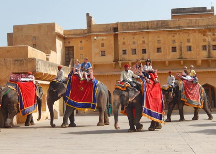 Jaipur Amer Fort