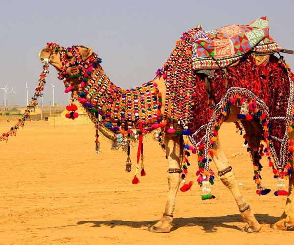 Jaisalmer