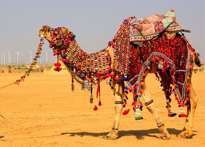 Jaisalmer