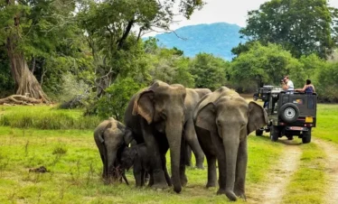 Periyar National Park