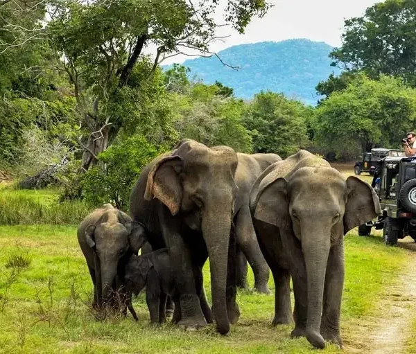Periyar National Park