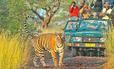 ranthambore-national-park