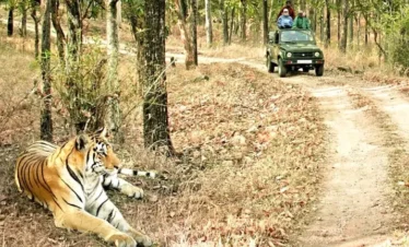 Bandhavgarh National Park