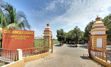 jungle-lodge-gir-india
