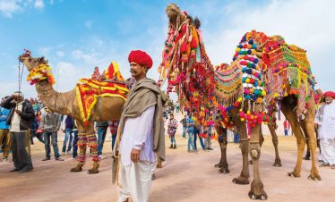pushkar-camel-fair