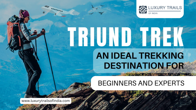 Triund Trek: An Ideal Trekking Destination For Beginners And Experts