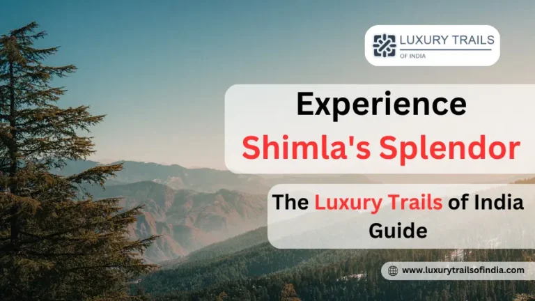 Experience-Shimlas-Splendor-The-Luxury-Trails-of-India-Guide