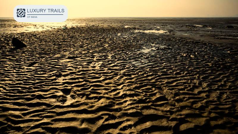 Dumas Beach, Gujarat