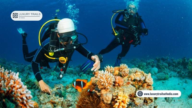 Best Place for Scuba Diving in Andaman