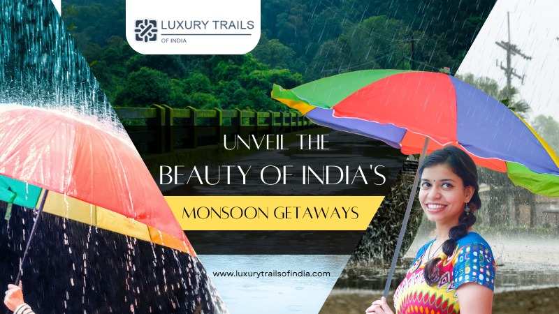 Unveil the Beauty of India's Monsoon Getaways
