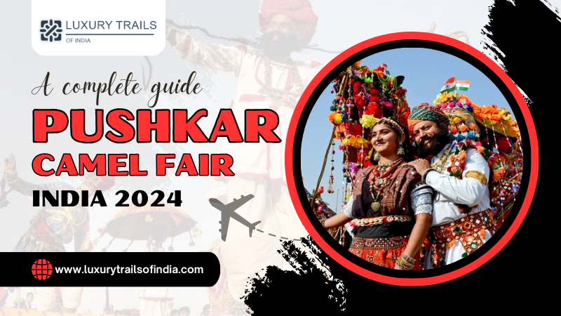 A Complete Guide Pushkar Camel Fair India 2024
