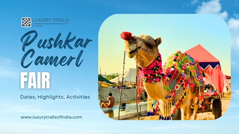 Pushkar Camel Fair 2026 Complete Details