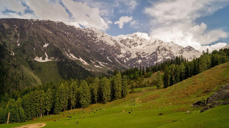 Explore the Great Himalayan National Park