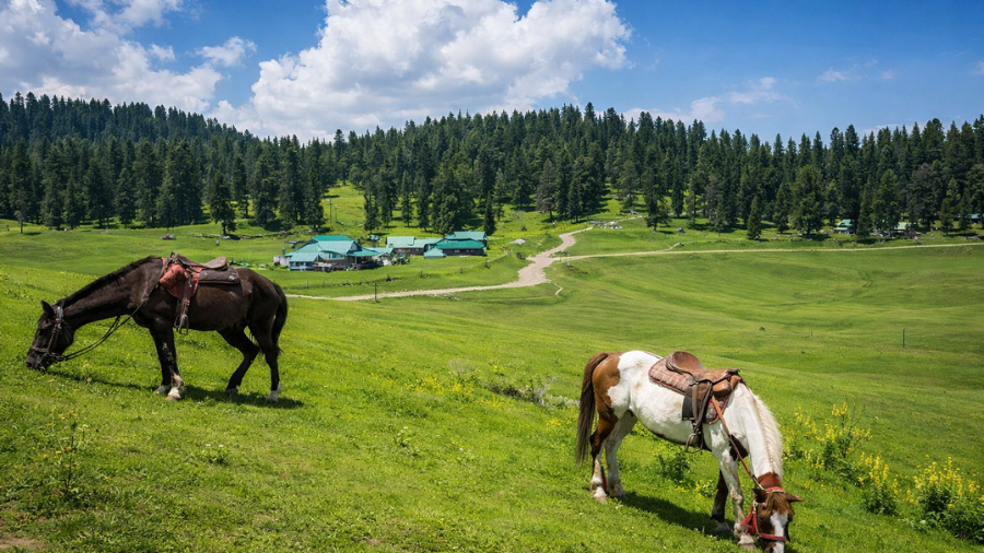 How to reach the Gulmarg Gondola