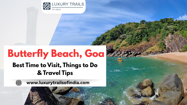 Butterfly Beach, Goa – Best Time to Visit, Things to Do (2025)