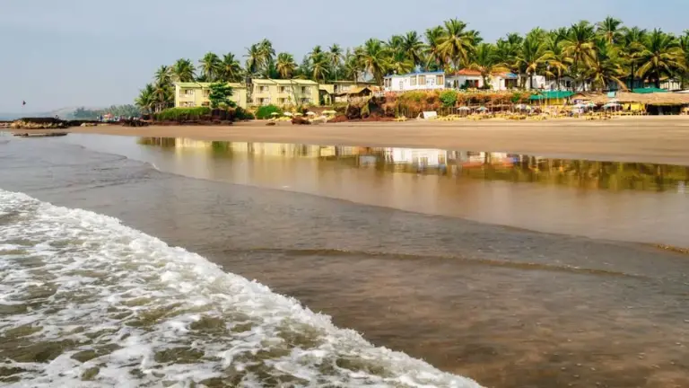 Things to do and Places to Visit at Mandrem Beach