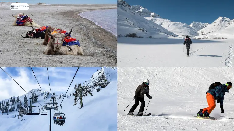 Activities in Sikkim During the Snowfall