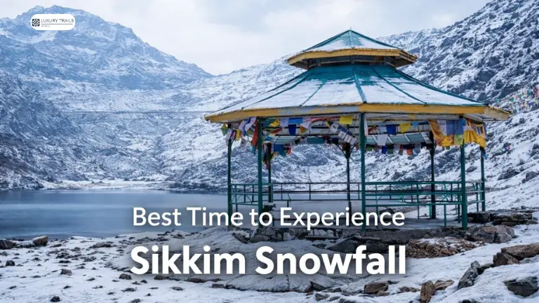 Best Time to Experience Sikkim Snowfall