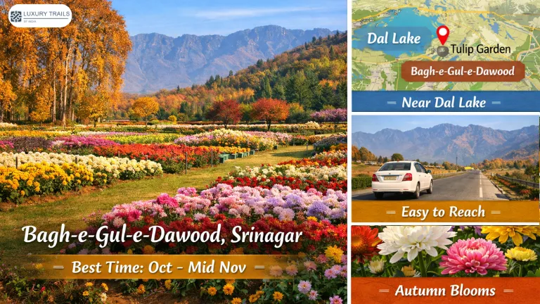 Best Time to Visit Bagh-e-Gul-e-Dawood Best Time to Visit Bagh-e-Gul-e-Dawood