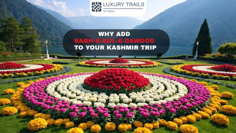 Why Add Bagh-e-Gul-e-Dawood to Your Kashmir Trip Why Add Bagh-e-Gul-e-Dawood to Your Kashmir Trip