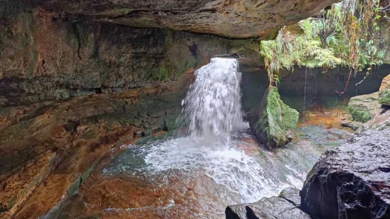 Garden of Caves