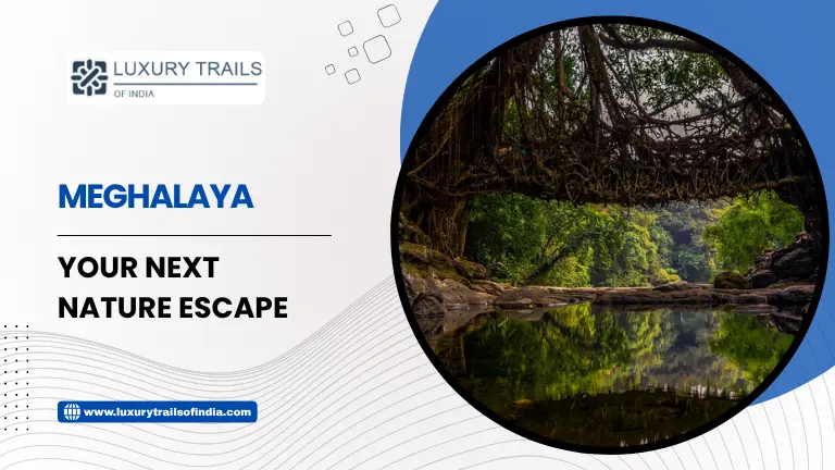 Meghalaya Your Next Nature Escape