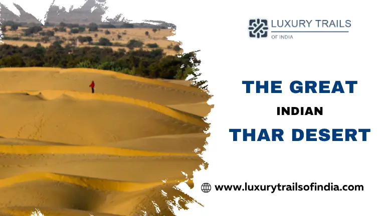 The Great Indian Thar Desert