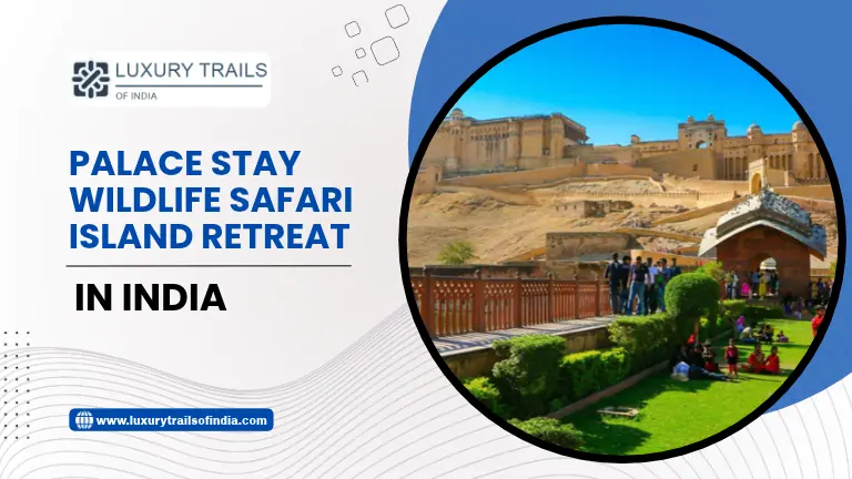 Palace Stay, Wildlife Safari or Island Retreat in India