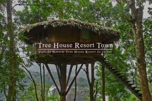 tree-house-resort-jaipur-india